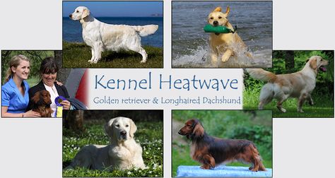 Kennel Heatwave